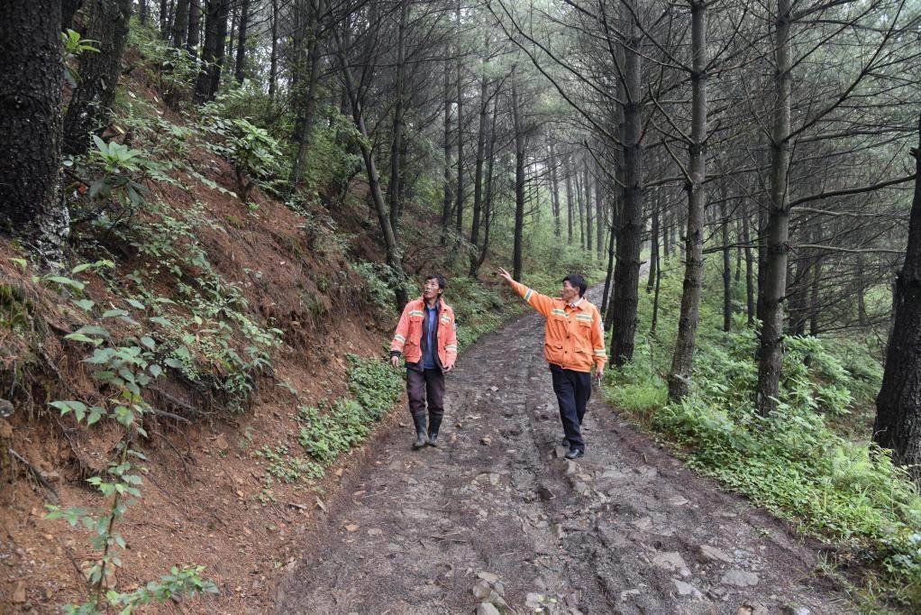 海雀村生態(tài)護林員馬正安（左）和海雀村林管員王光德（右）在日常巡山護林。新華社記者 李凡 攝