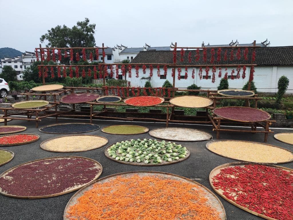 近日，江西省上饒市婺源縣秋口鎮(zhèn)王村村民晾曬的農(nóng)作物。新華社記者 劉佳敏 攝