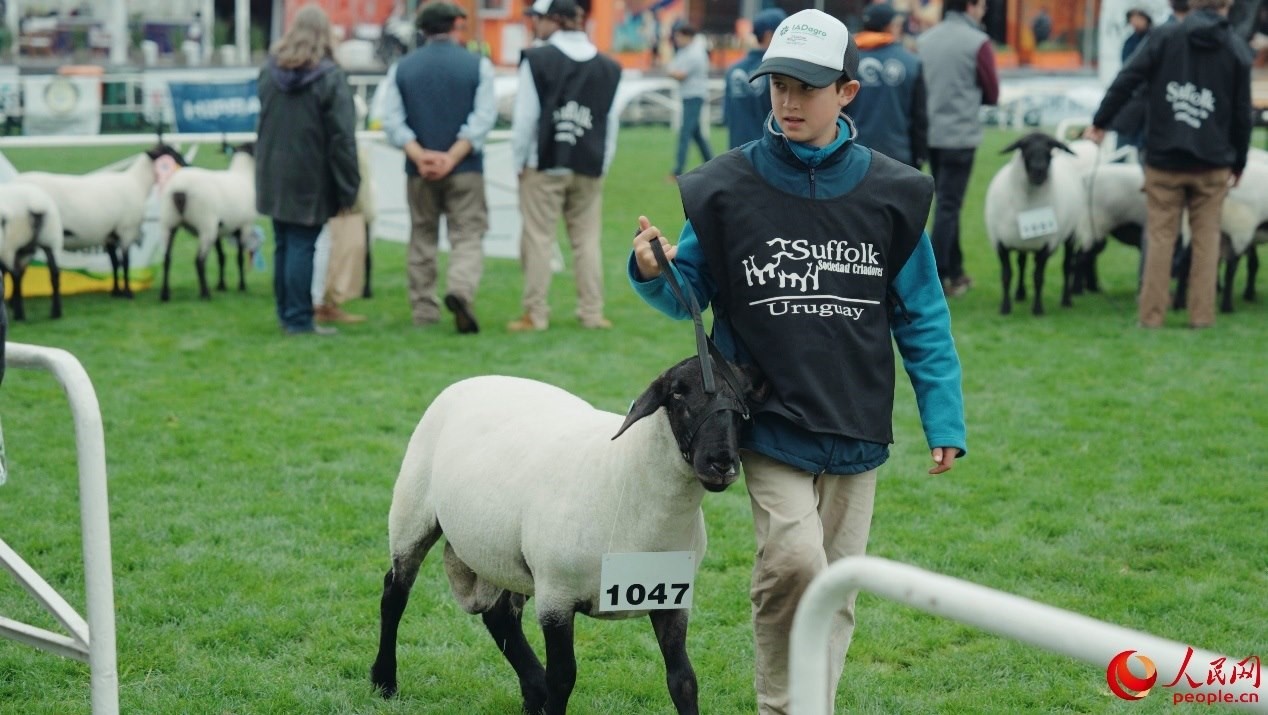 烏拉圭第118屆普拉多牧農(nóng)業(yè)國際博覽會現(xiàn)場。人民網(wǎng)記者 張若涵攝