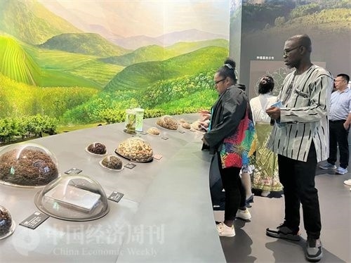  （在中國藥都中醫(yī)藥博物館，外媒記者了解中醫(yī)藥發(fā)展史。中國經(jīng)濟周刊記者 郭志強 攝）
