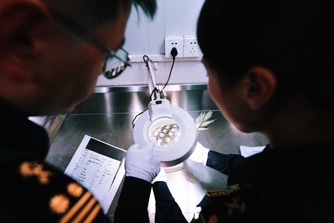 上海海關(guān)關(guān)員針對檢疫性有害生物和農(nóng)藥殘留進(jìn)行檢疫檢驗(yàn)。陳興洲攝