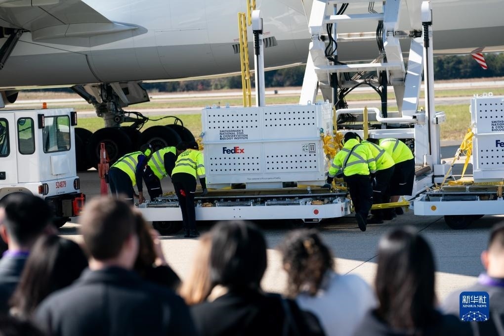 11月8日，在美國弗吉尼亞州的華盛頓杜勒斯國際機場，裝有大熊貓的特制“旅行包廂”準(zhǔn)備運上專機。新華社記者劉杰攝