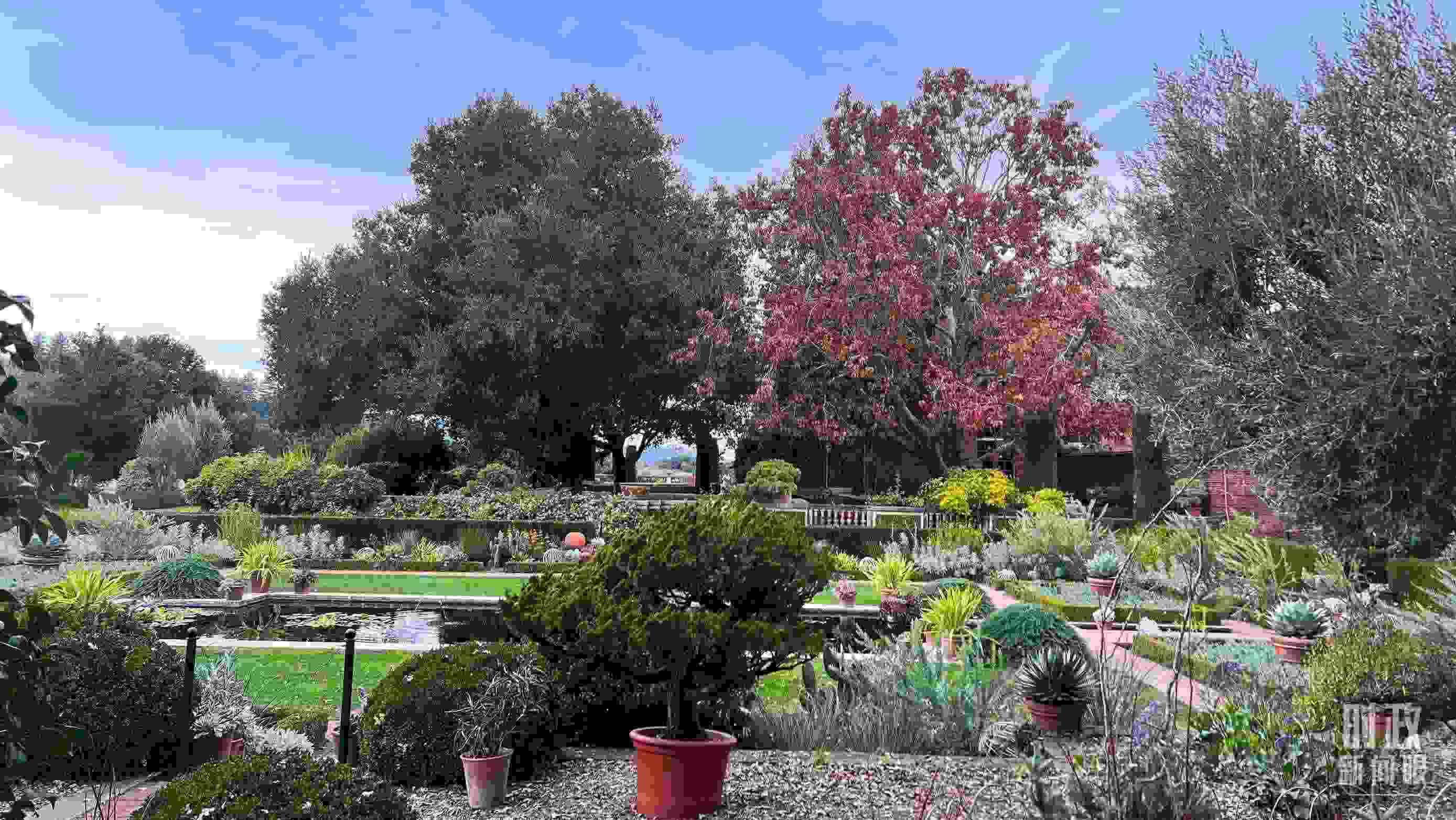 斐洛里莊園被稱作美國20世紀(jì)現(xiàn)存最精美鄉(xiāng)村莊園之一。(總臺央視記者程鋮拍攝)