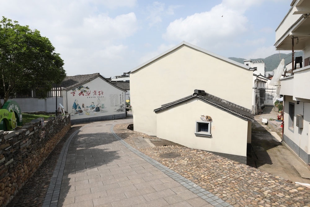 浙江省義烏市李祖村一景（2023年5月23日攝）。新華社記者 杜瀟逸 攝