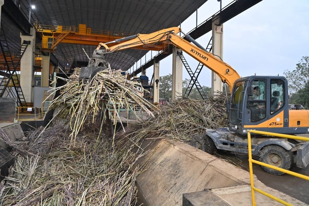 12月14日，在廣西來賓東糖鳳凰有限公司，員工操作機械將甘蔗投入傳送帶，準(zhǔn)備送往壓榨車間。