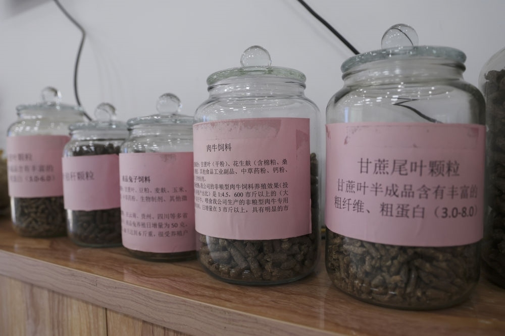 這是12月13日在來賓市興賓區(qū)小平陽鎮(zhèn)一家飼料廠拍攝的以甘蔗尾葉為原料制成的飼料。