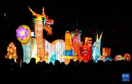 2月11日晚，人們在濟(jì)南市趵突泉公園觀賞花燈。