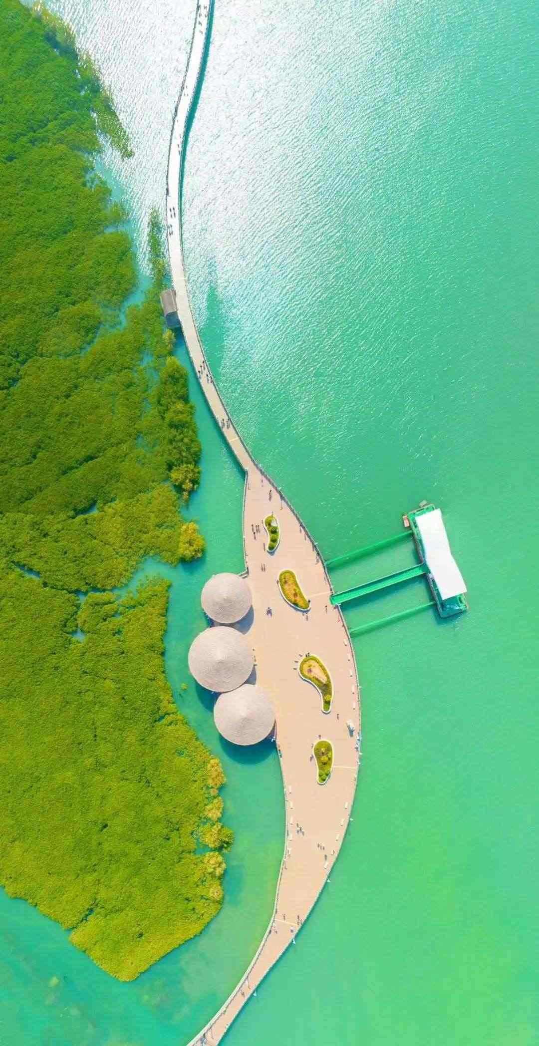 下潭尾紅樹(shù)林公園(人民網(wǎng)記者 陳博攝)