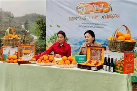 2021年2月26日，在重慶渝北區(qū)大盛鎮(zhèn)青龍村舉辦的直播活動(dòng)現(xiàn)場(chǎng)。