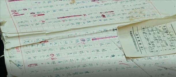 曲波《林海雪原》手稿。主辦方供圖