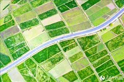 無人機視角下的西藏山南市瓊結(jié)農(nóng)田。人民網(wǎng)記者 次仁羅布攝