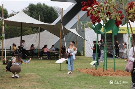 坎波·馬特活動現(xiàn)場。埃內(nèi)斯托·多明戈斯攝