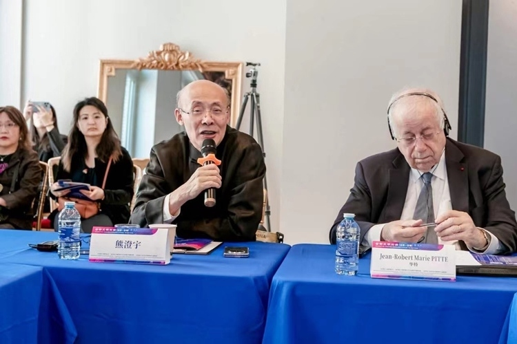 中國傳媒大學(xué)文化發(fā)展與傳播研究院院長熊澄宇教授發(fā)言（圖片：中國傳媒大學(xué)