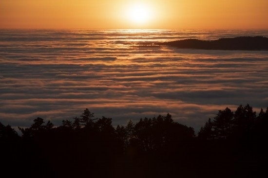 這是5月14日在美國加利福尼亞州馬林縣拍攝的云海。新華社發(fā)（李建國攝）