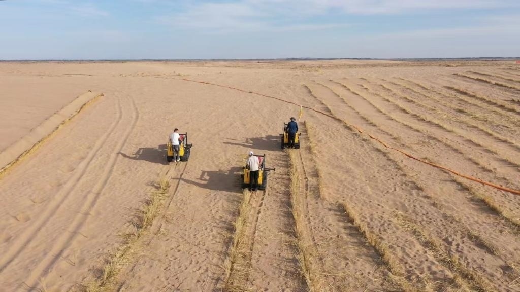 內(nèi)蒙古巴彥淖爾市烏拉特后旗西補(bǔ)隆林業(yè)管護(hù)中心職工駕駛機(jī)械鋪設(shè)壓沙障。新華社記者 李云平 攝