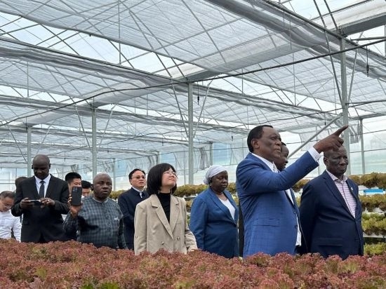 使節(jié)團考察貴州省清鎮(zhèn)駱家橋蔬菜保供基地的無土栽培溫室。新華社記者 袁睿 攝