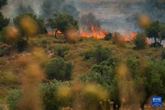 6月12日，以色列北部加利利地區(qū)遭受火箭彈襲擊后冒出滾滾濃煙。新華社發(fā)（阿亞爾·馬戈林?jǐn)z/基尼圖片社）