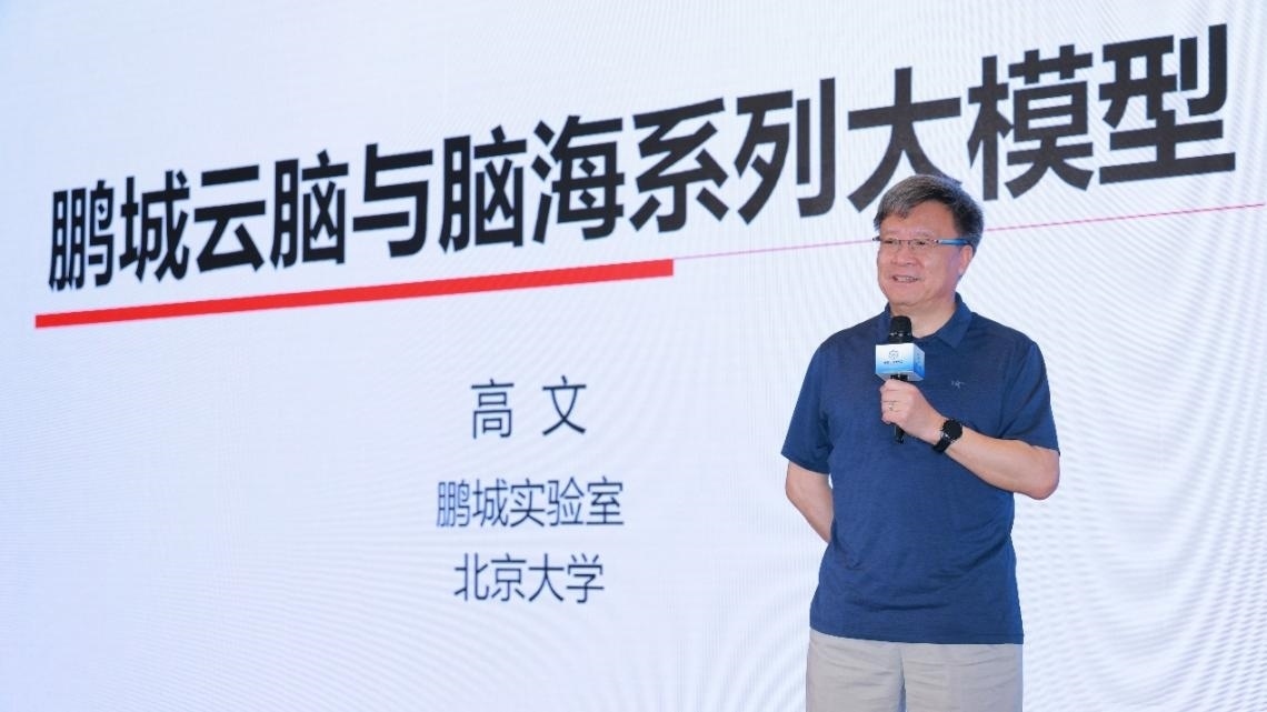 高文院士做大會特邀報告。主辦方供圖