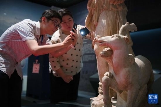 7月2日，安徽博物院工作人員在拍攝開箱后的古希臘文物。新華社記者 張端 攝