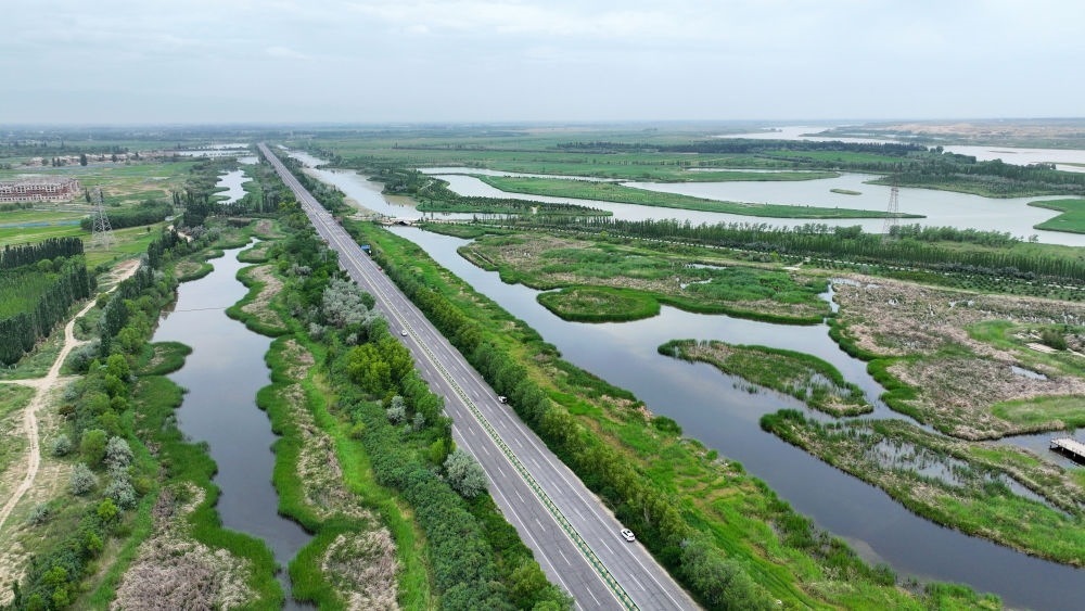 這是2024年6月13日拍攝的黃河寧夏段濱河大道（無(wú)人機(jī)照片）。近年來(lái)，寧夏努力建設(shè)黃河流域生態(tài)保護(hù)和高質(zhì)量發(fā)展先行區(qū)，全力打好黃河保護(hù)持久戰(zhàn)。新華社記者 王鵬 攝