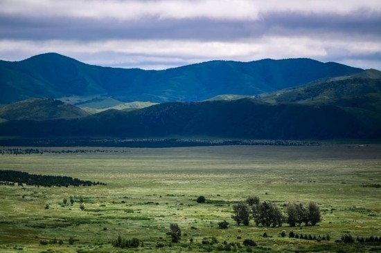 2023年8月4日拍攝的大興安嶺南麓內(nèi)蒙古罕山國家級自然保護區(qū)風光。新華社記者 連振 攝