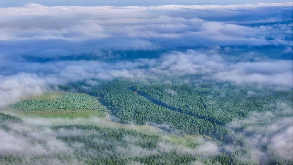 2024年7月26日拍攝的塞罕壩國(guó)家級(jí)自然保護(hù)區(qū)景色。新華社發(fā)（劉滿倉(cāng) 攝）