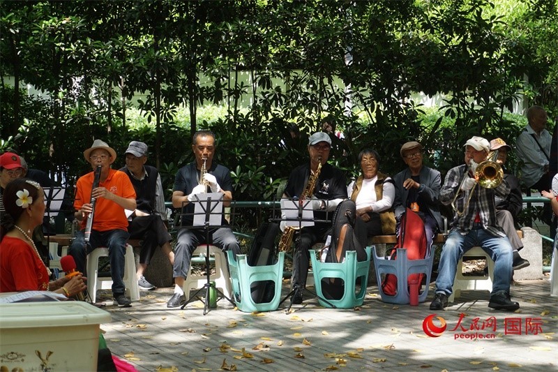成都居民在公園里演奏歌曲。人民網(wǎng) 王禹蘅攝