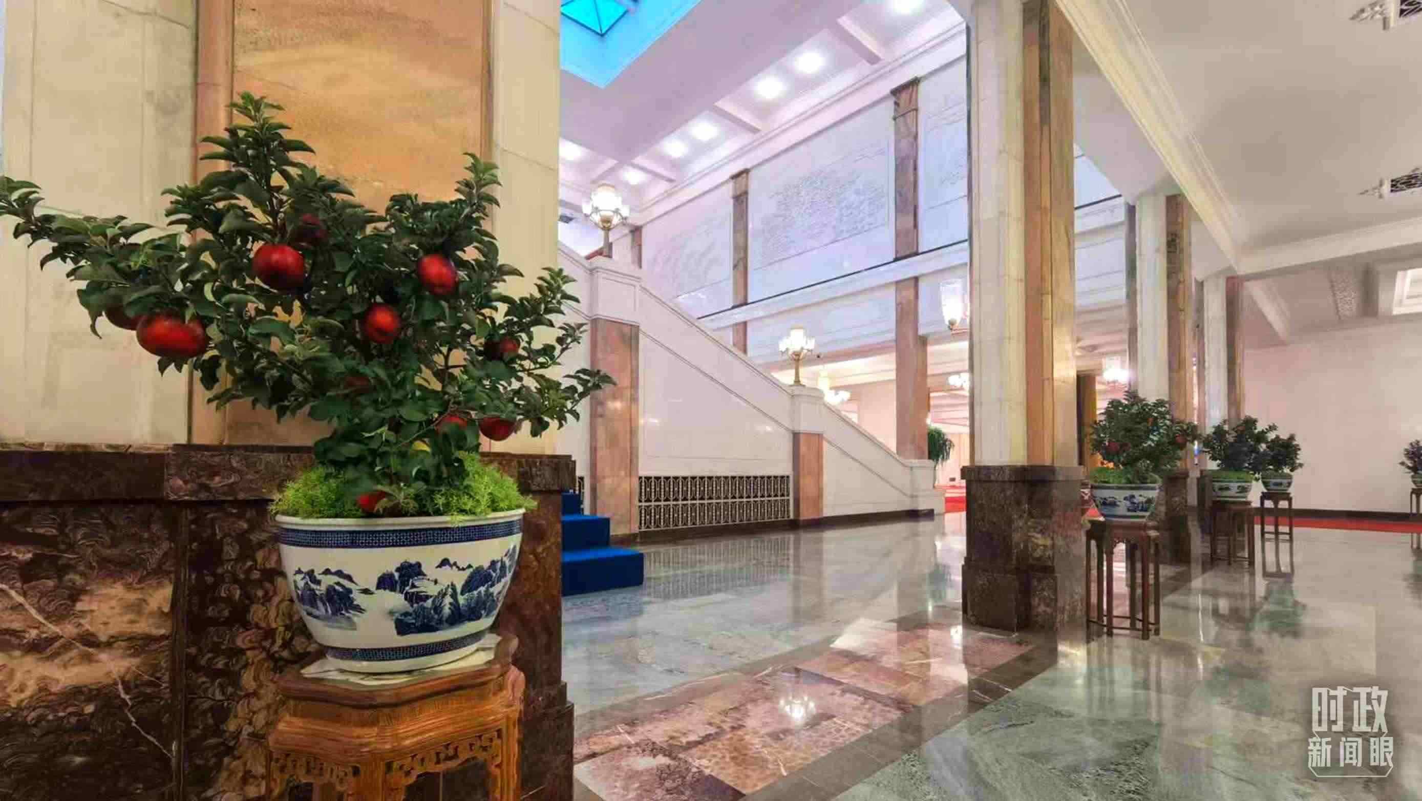  △大會(huì)堂內(nèi)的“碩果累累”盆栽。（總臺(tái)國(guó)廣記者吳倩拍攝）