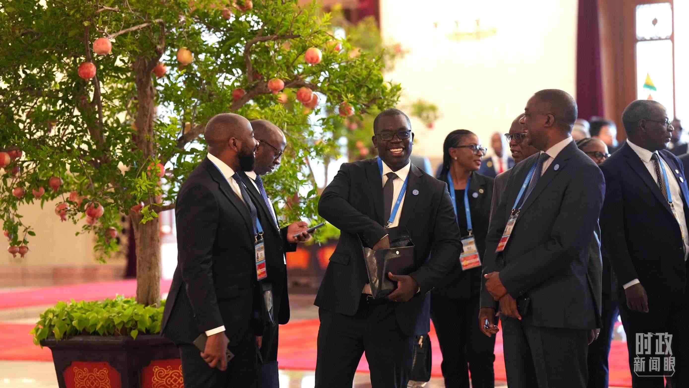 出席中非合作論壇北京峰會(huì)的非洲國家代表。（總臺(tái)記者李晉拍攝）