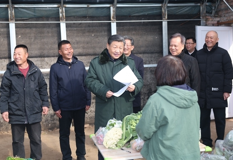 2024年2月1日，習近平總書記在天津市西青區(qū)辛口鎮(zhèn)第六埠村，走進大棚同菜農(nóng)親切交流。
