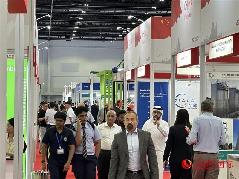 中國(guó)館一角。人民網(wǎng)記者管克江攝