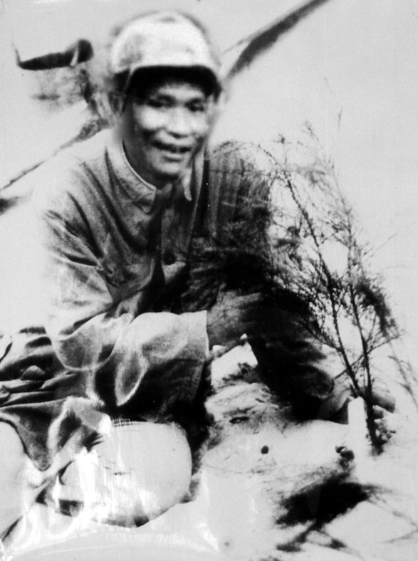 谷文昌與試種成活的木麻黃（資料照片）。為了治沙，谷文昌爬遍了東山縣400多個山頭，踏遍了30多公里的沙灘，終于帶領(lǐng)東山人民試種木麻黃成功。