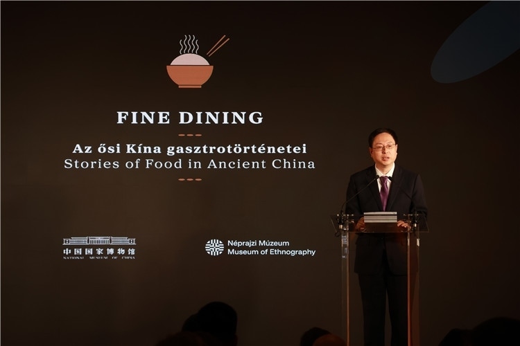 中國國家博物館副館長楊帆致辭。圖片由中國駐匈牙利大使館提供。