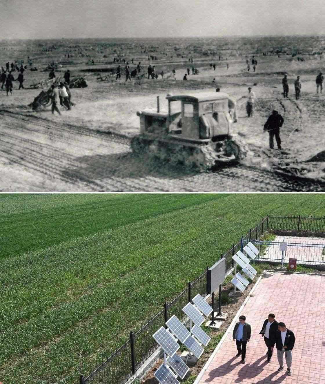 上圖為二十世紀(jì)六十年代蘭考改造鹽堿地的情景（資料照片）；下圖為2024年4月18日拍攝的蘭考縣紅廟鎮(zhèn)高標(biāo)準(zhǔn)農(nóng)田示范區(qū)。（新華社記者 朱祥 攝）