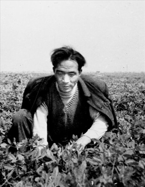 在蘭考期間，焦裕祿在田間勞動(dòng)的情景。