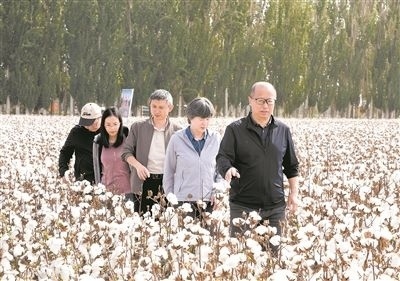 李召虎團隊成員在棉田了解試驗情況。 受訪單位供圖