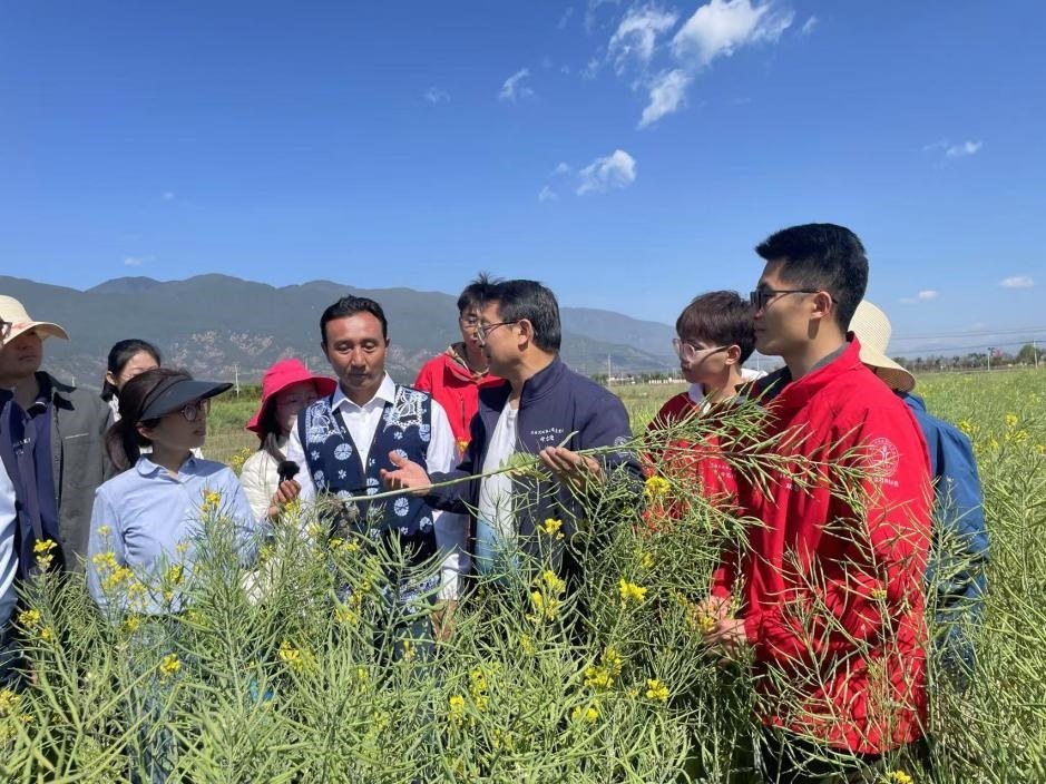 在“科技小院”授課的張福鎖。人民網記者李依環(huán) 攝