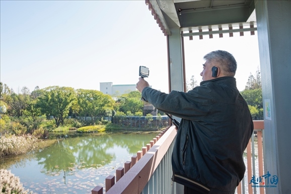 參觀白鷺園。環(huán)球網(wǎng)供圖