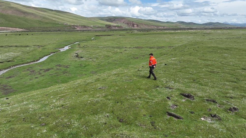 9月24日，生態(tài)管護員那瓦才郎在草場上巡護。（受訪者供圖）