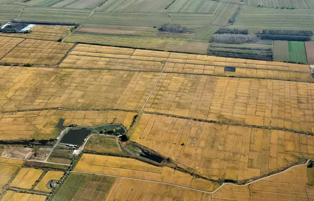 俯瞰黑龍江省哈爾濱市一處稻田（10月2日攝，無(wú)人機(jī)照片）。新華社記者 孫曉宇 攝