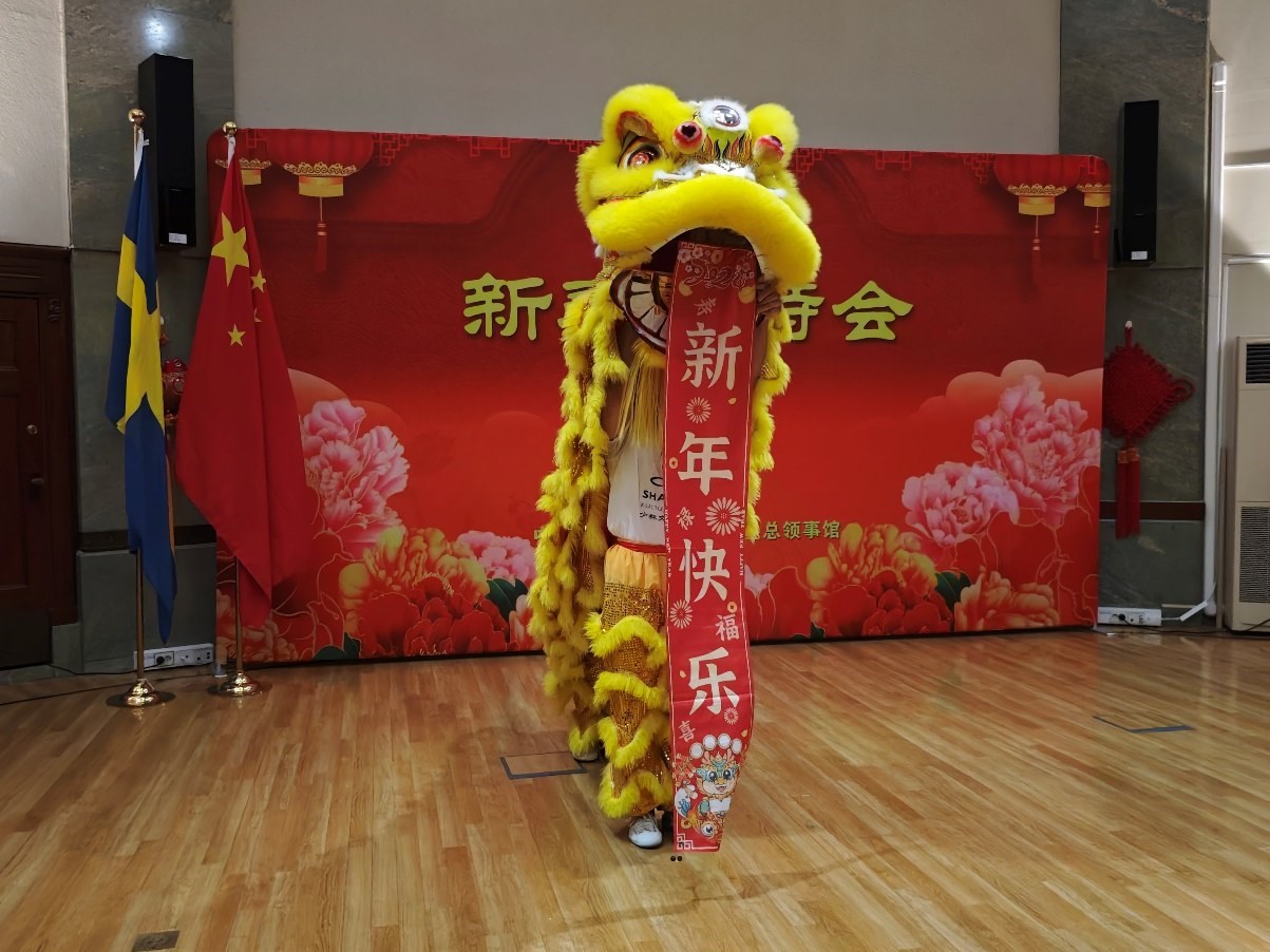 開場(chǎng)舞獅表演。中國(guó)駐哥德堡總領(lǐng)館供圖
