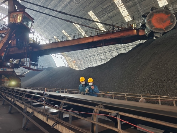 趙善國(guó)（右）和同事對(duì)電廠煤場(chǎng)進(jìn)行巡檢。受訪者供圖