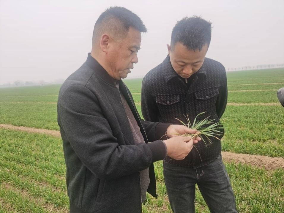 在山東濟寧汶上縣苑莊鎮(zhèn)，農技員黃海龍對種糧大戶王振現(xiàn)場進行春耕指導。人民網記者 車柯蒙攝