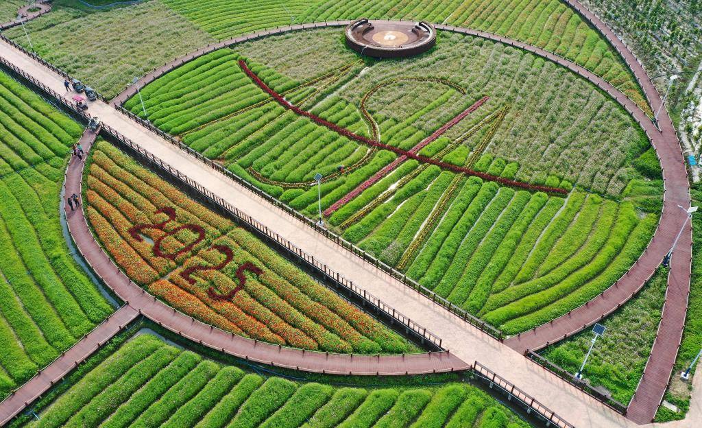 這是3月21日拍攝的瓊海博鰲南強村景色（無人機照片）。新華社記者 郭程 攝