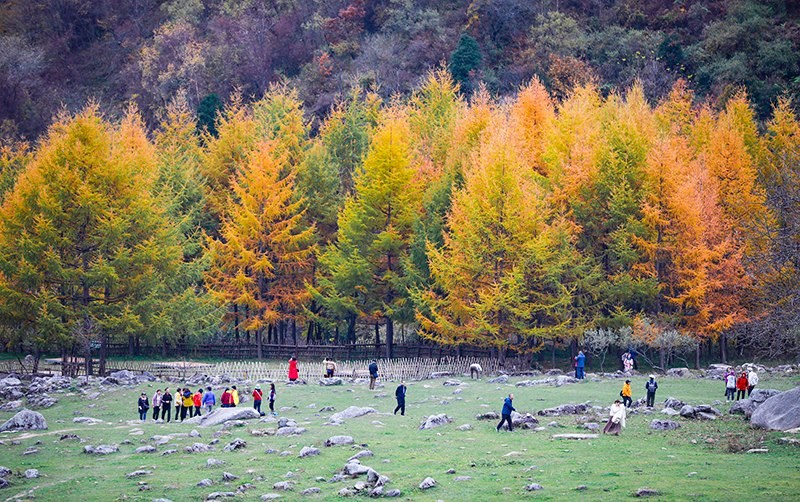 2023年10月27日，深秋時節(jié)的陜西秦嶺太子嶺五彩斑斕，進(jìn)入最佳觀賞期。