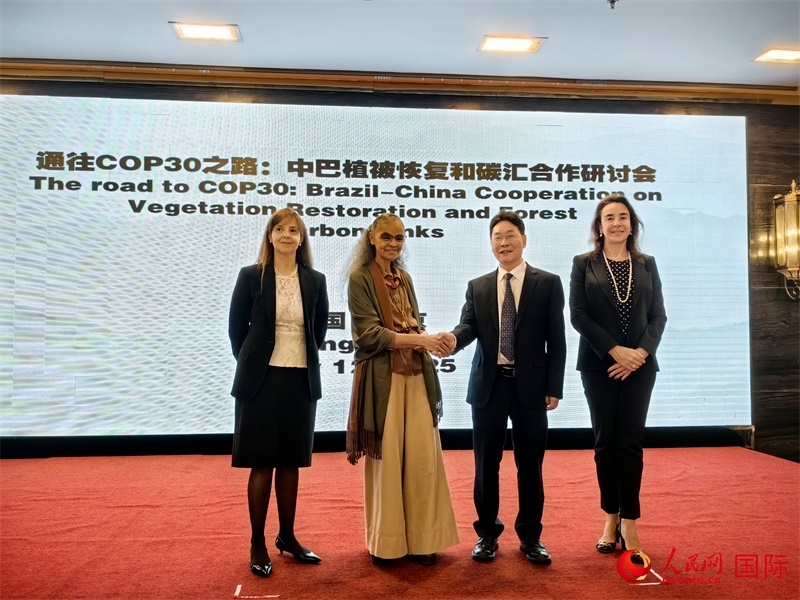 中國國家林業(yè)和草原局副局長李云卿（右二）、巴西環(huán)境和氣候變化部部長瑪麗娜·席爾瓦（左二）、巴西財(cái)政部副部長羅熙丹（右一）、巴西駐華大使館公參樂美（左一）出席“通往COP30之路：中巴植樹造林和碳匯合作研討活動”。人民網(wǎng)記者 符園園攝