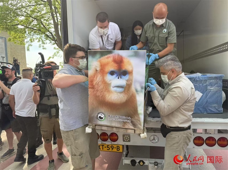 圖為活動(dòng)現(xiàn)場(chǎng)。人民網(wǎng)記者 牛瑞飛攝