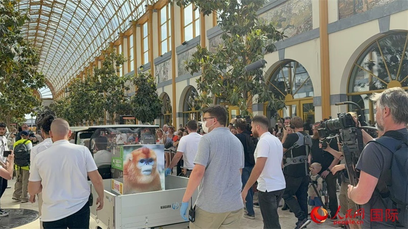 圖為活動(dòng)現(xiàn)場(chǎng)。人民網(wǎng)記者 牛瑞飛攝