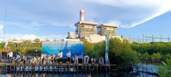 5月18日，中印尼嘉賓在爪哇7號(hào)燃煤電站舉行紅樹(shù)林補(bǔ)植儀式。記者 曹凱 攝