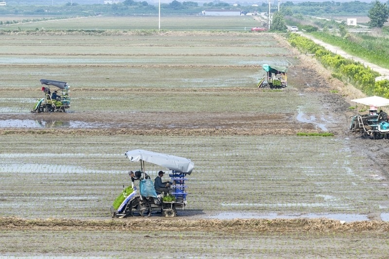 夏種忙(7)#XxjpsgC007118_20250614_PEPFN0A001.jpg